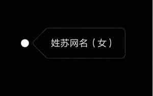 姓苏的网名