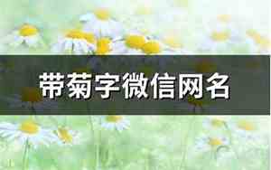 带菊的网名