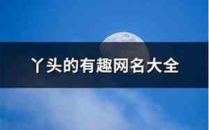 傻丫头网名