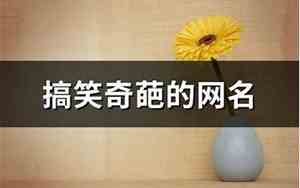 奇葩的网名