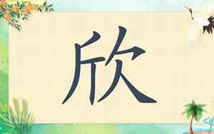 宝宝欣名字大全