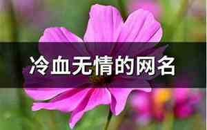 无情的网名