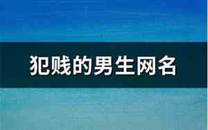 犯贱的网名越贱越好