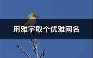 用瑶字取个优雅的网名
