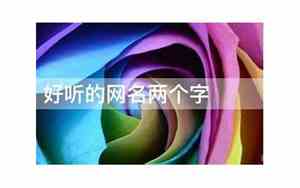 俩个字的网名
