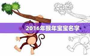 猴宝宝名字带梅