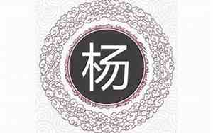 杨姓男宝好名字