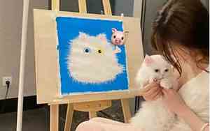 小野猫情侣网名