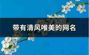 清风网名
