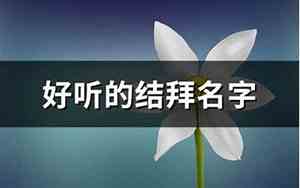 好听的情侣结拜名字