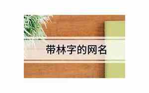 带林字的网名男生