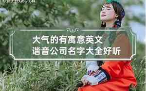 洪子谐音公司名字大全