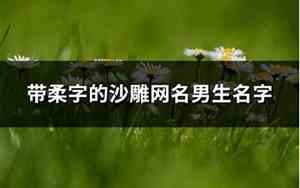 带柔字的网名