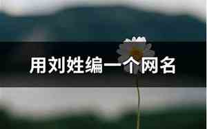 刘姓网名