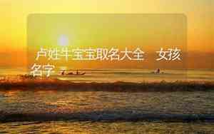 姓卢牛宝宝名字大全