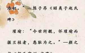 出自诗经的四字网名