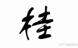 好听的桂姓女孩名字