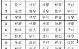 不会重复的男宝宝名字