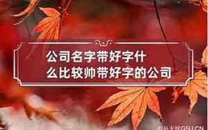 名字带帅的公司名