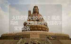 文雅的马宝宝名字
