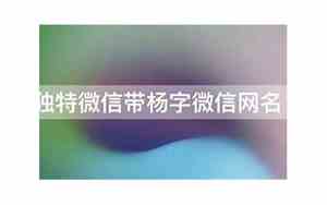 杨字网名