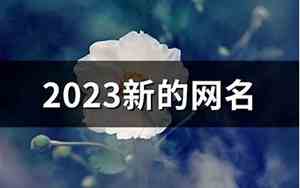 新的网名