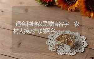 农村人网名