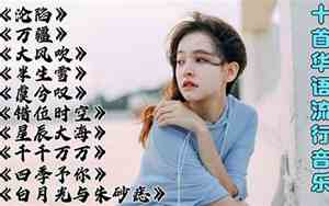 妻子哪年的歌好听