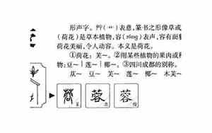 好听的蕾蓉名字