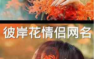关于彼岸花的情侣网名