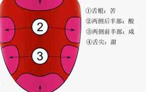 味觉和感觉哪个好听