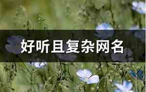 好听网名复杂