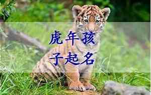 有个性的虎宝宝名字