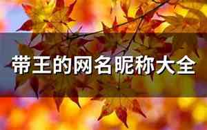 带王的网名