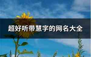 带慧的网名