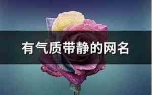 带静的网名