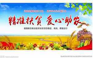扶贫助农的公司名字