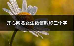 开心网名女生