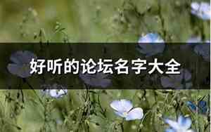 好听的青年论坛名字