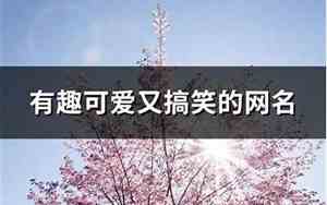 搞笑的网名大全
