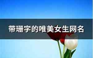 带珊字的网名