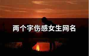 女生网名两个字伤感