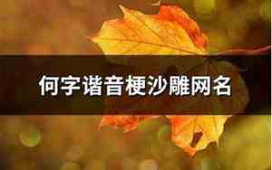 何字网名