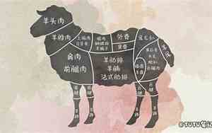 最好听的羊肉名字