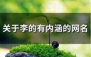 关于李的网名