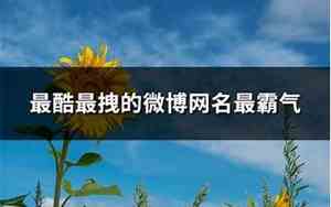 最拽网名