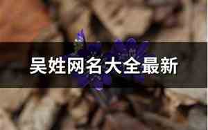 吴网名