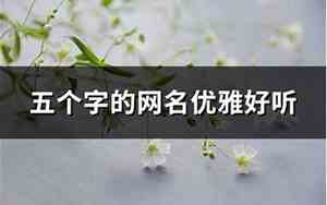 五个字的网名优雅好听
