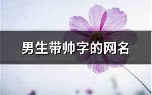 带帅字的网名
