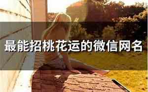 桃花运网名